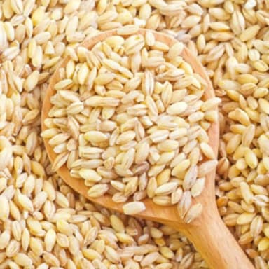 DURUM-WHEAT-1