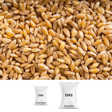 Durum-wheat