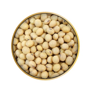 gmo-soybeans
