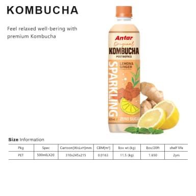 KOMBUCHA 1