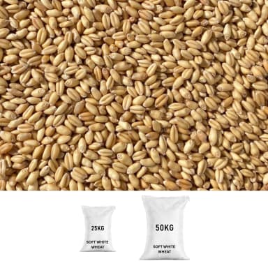 SOFT-WHITE-WHEAT